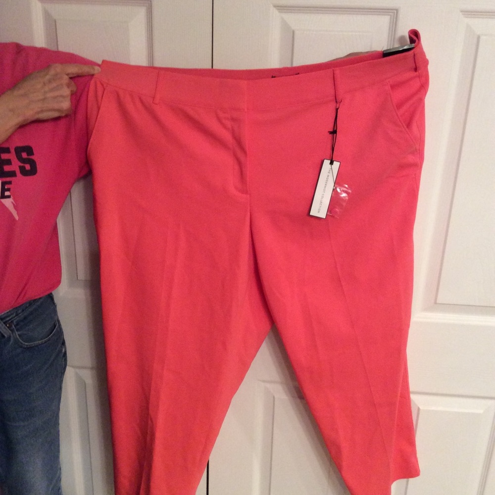 Lane Bryant The Lena Ankle Pant